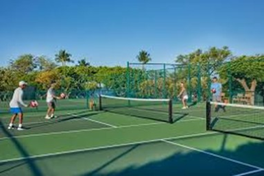 Pickleball game