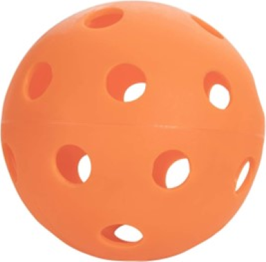 ONix Fuse Indoor Pickleball