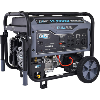 Pulsar G12KBN Heavy Duty Dual Fuel Whole House Generator